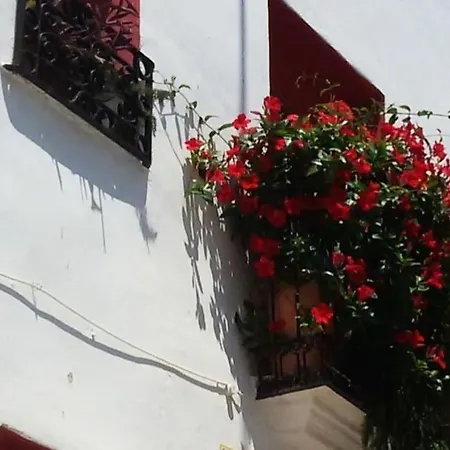 Casa Regina Casco Antiguo By Delucaco Altea