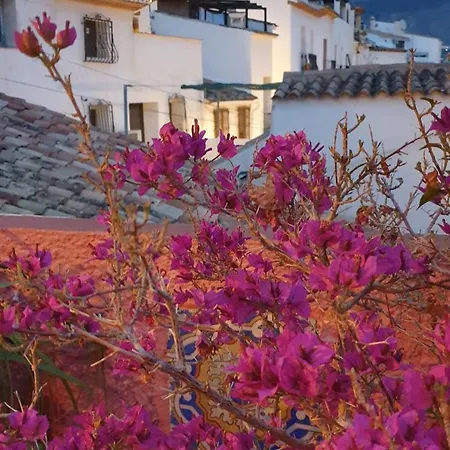 Casa Regina Casco Antiguo By Delucaco Holiday home *